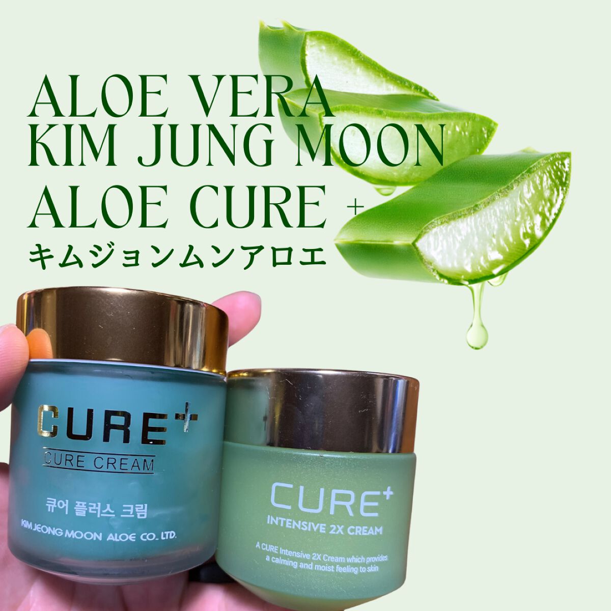 キュアプラス インテンシブ2Xクリーム/KIM JEONG MOON Aloe/フェイスバームを使ったクチコミ（2枚目）