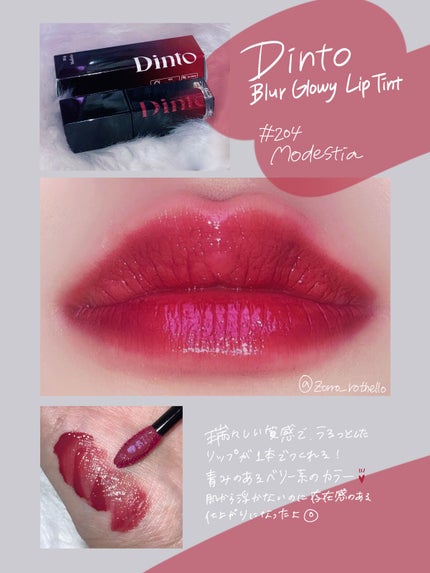 ブラーフィニシュシャドウパレット/Dinto/アイシャドウパレットを使ったクチコミ(3枚目)