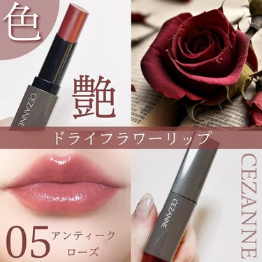 \わたしの推しカラー🥀💄/

CEZANNEのバズリップ、
『リップカラーシールド』💄

前回の投稿でははるの新色
06ロゼベージュ
07スイートローズ
をご紹介したけど、

やっぱり私が推したいのは

"05 アンティークローズ"🥀

ドライフラワーのような渋みのあるローズレッドが色っぽくてたまらんのです💋

透け感と艶感があるから重たい印象はないし、ピンクが苦手な方でも使いやすいはず🩷

05は店舗限定色らしいんだけど、どこのドラッグストアいっても置いてあるから、余裕で手に入ると思う✨

ローズ系の色っぽカラーをお探しの方はぜひ試してみてほしいな☺️💋

気になった方はチェックしてみてね✨

#CEZANNE
#セザンヌ
#購入品 
#プチプラコスメ購入品 
#リップカラーシールド 
#リップカラーシールド05 
#05アンティークローズ 
#アンティーク
#アンティークローズ 
#店舗限定色
#ドライフラワーカラーの画像 その0