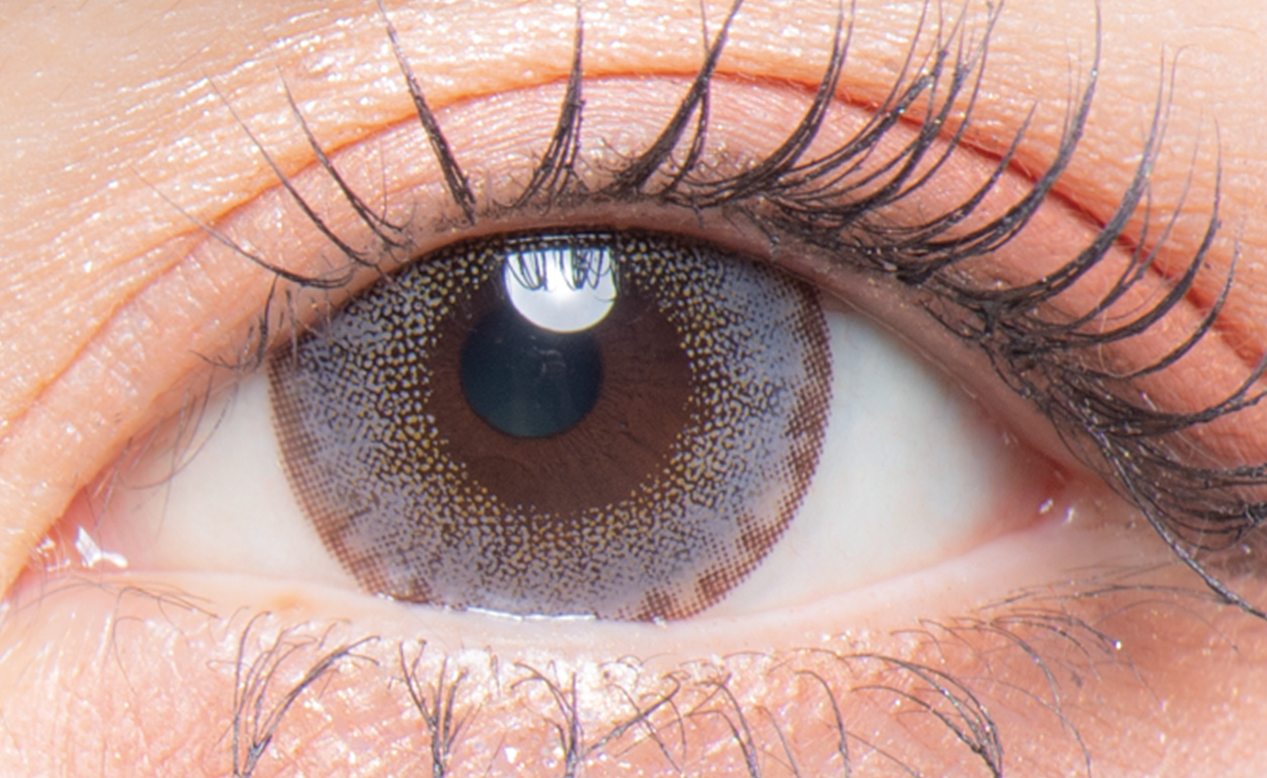 colors 1day ハーフグレーゴールド