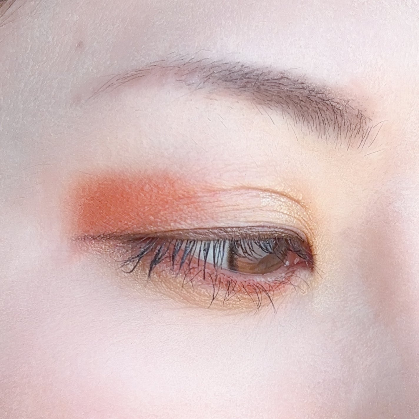 シグニチャー カラー アイズ/SUQQU/アイシャドウパレットを使ったクチコミ(6枚目)