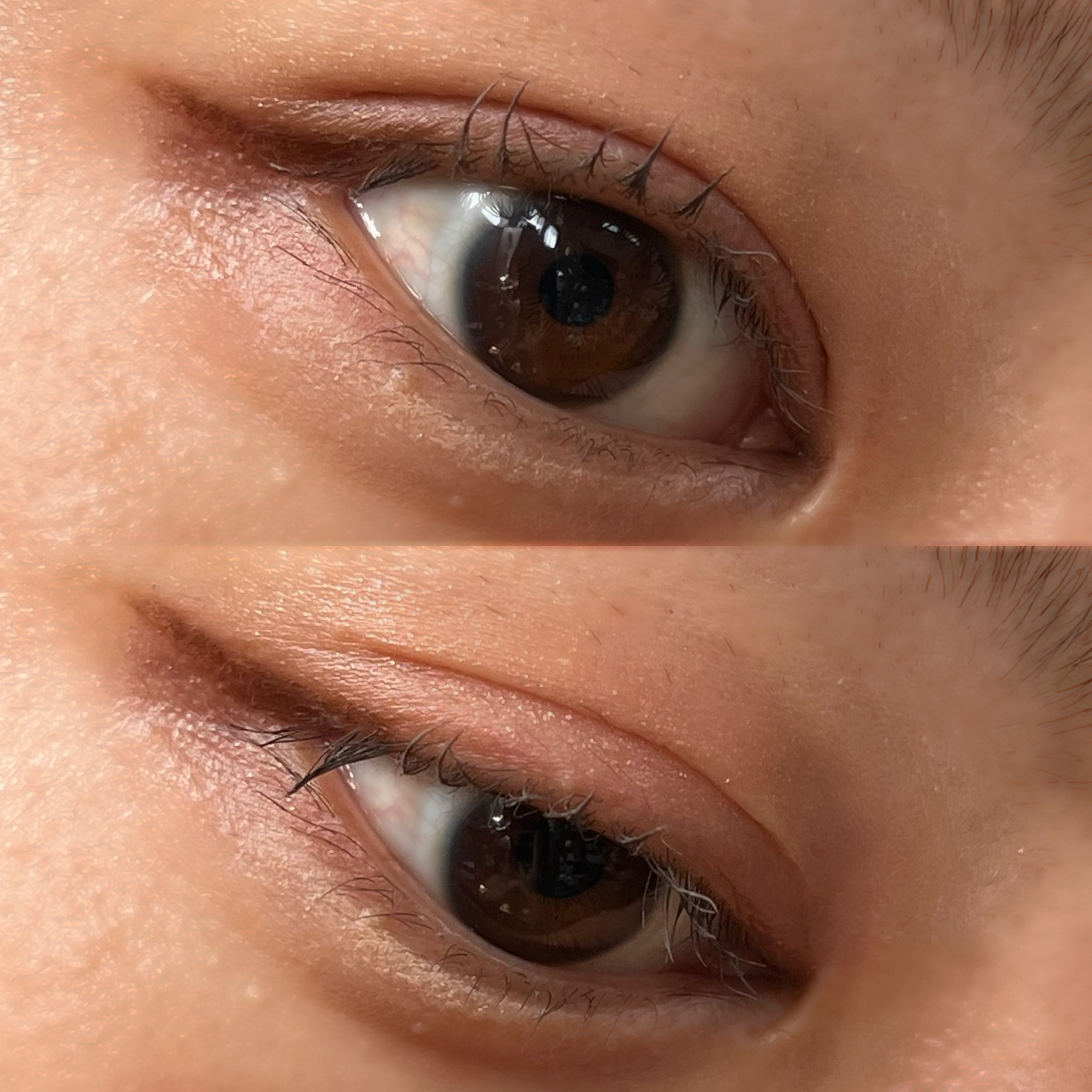 クチュール ミニ クラッチ #500 メディナ グロウ/YVES SAINT LAURENT BEAUTE/アイシャドウパレットを使ったクチコミ（3枚目）