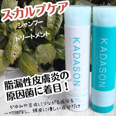 薬用スカルプシャンプー/トリートメント/KADASON (カダソン)/シャンプー・コンディショナーを使ったクチコミ（1枚目）