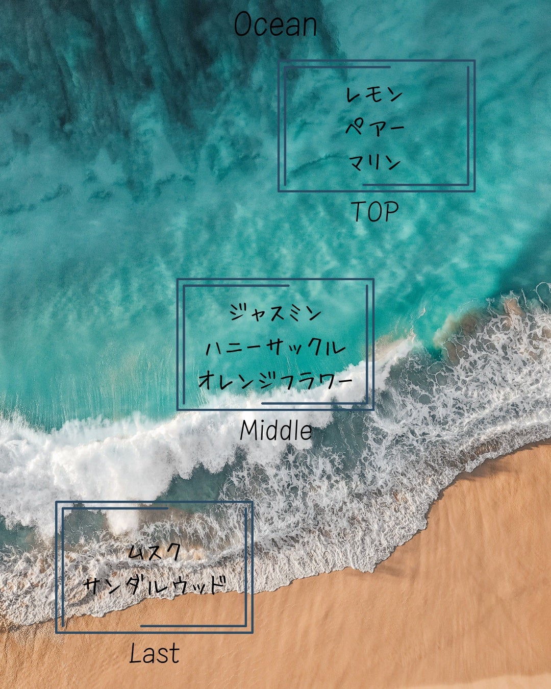 SHAMPOO & REPAIR/MEDULLA/市販シャンプーを使ったクチコミ(7枚目)