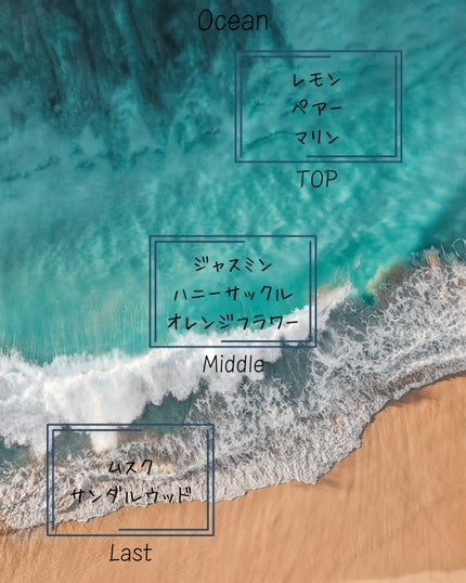 SHAMPOO & REPAIR/MEDULLA/市販シャンプーを使ったクチコミ(7枚目)