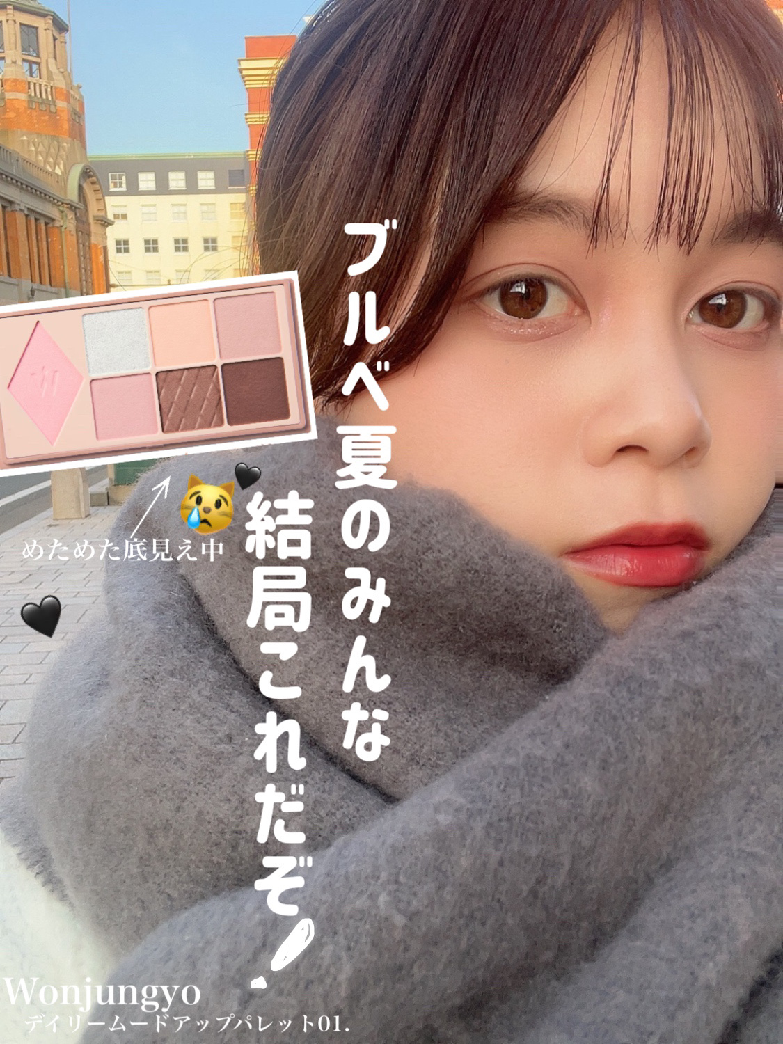 ウォンジョンヨ Ｗ デイリームードアップパレット /Wonjungyo/アイシャドウパレットを使ったクチコミ（1枚目）