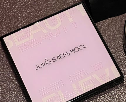 アーティストアイパレット/JUNG SAEM MOOL/アイシャドウパレットを使ったクチコミ(2枚目)