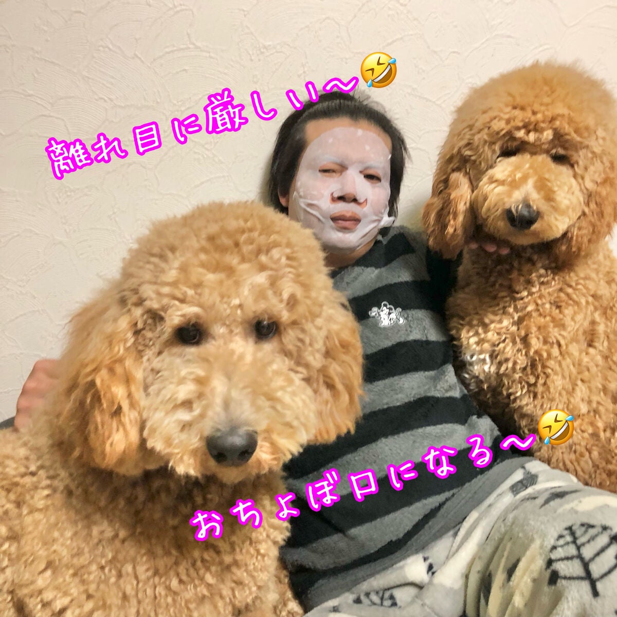 ルルルン ハイドラ V マスク/ルルルン/シートマスク・パックを使ったクチコミ(5枚目)