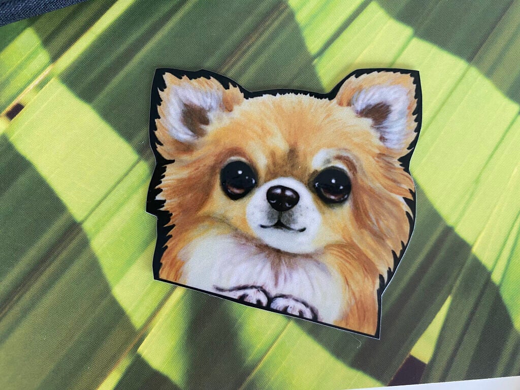 ぷぅぴぃ《紫コス部💜💗》 on LIPS 「🐶🐶🐶わんDayペット🐶🐶🐶🐶🐶🐶チワワイラストポーチ🐶🐶🐶チ..」(5枚目)