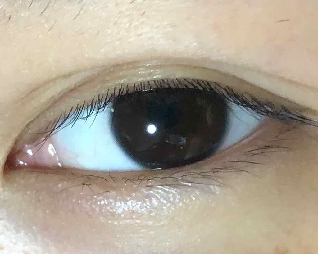 ハニードロップス ベイビーブラウン/HONEY DROPS/カラーコンタクトレンズを使ったクチコミ（3枚目）