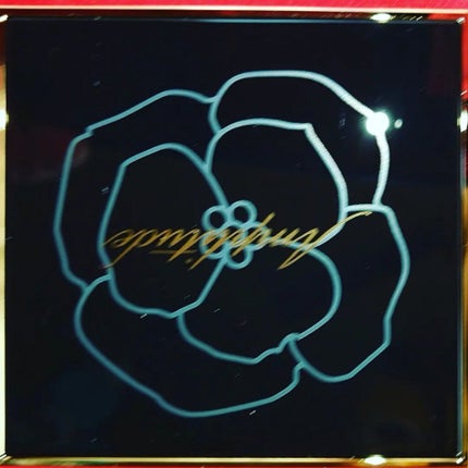 コンスピキュアス アイズ リミテッドコレクション a/Amplitude/アイシャドウパレットを使ったクチコミ(3枚目)