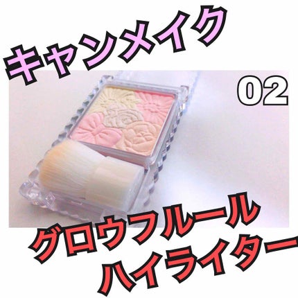 グロウフルールハイライター/キャンメイク/パウダーハイライトを使ったクチコミ(1枚目)