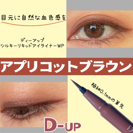 シルキーリキッドアイライナーWP/D-UP/リキッドアイライナーを使ったクチコミ(2枚目)
