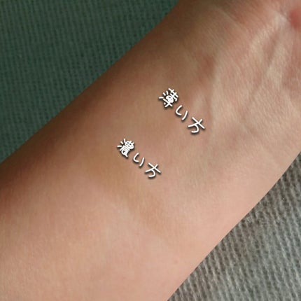 FilliMilli ビッグファンブラシ851/fillimilli/メイクブラシを使ったクチコミ(5枚目)