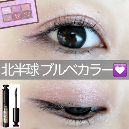 ナイストゥミーチュートランク/MAJOLICA MAJORCA/アイシャドウパレットを使ったクチコミ(1枚目)