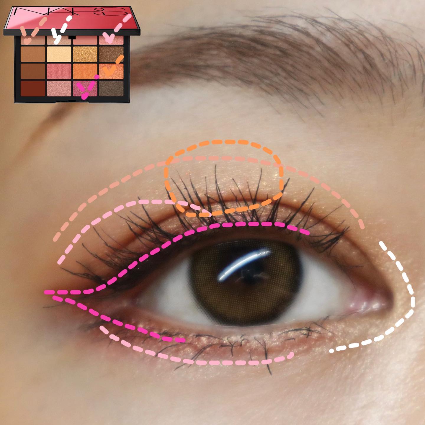 サマーアンレイテッド アイシャドーパレット/NARS/アイシャドウパレットを使ったクチコミ（2枚目）