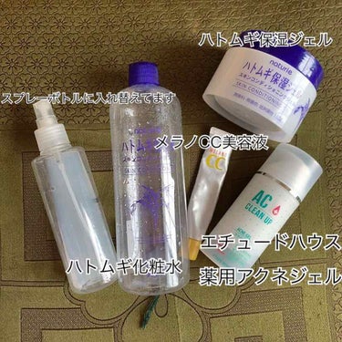 ハトムギ化粧水(ナチュリエ スキンコンディショナー R )/ナチュリエ/化粧水を使ったクチコミ（3枚目）