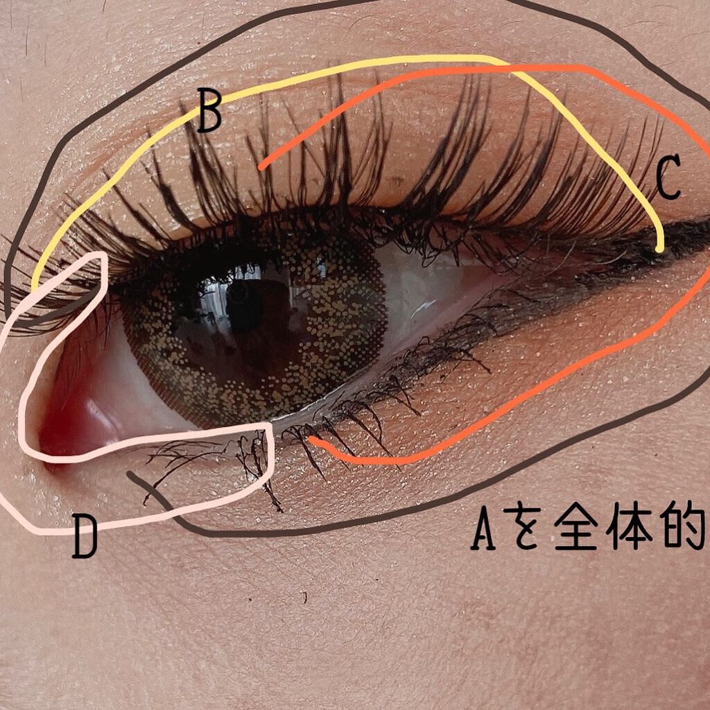 loveil 1day  Sheer hazel/loveil/ワンデー（１DAY）カラコンを使ったクチコミ（3枚目）