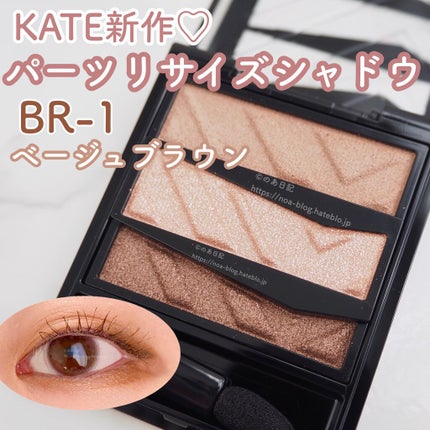 パーツリサイズシャドウ/KATE/アイシャドウパレットを使ったクチコミ(1枚目)