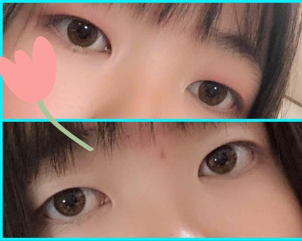 【旧品】パーフェクトスタイリストアイズ/キャンメイク/アイシャドウパレットを使ったクチコミ(1枚目)