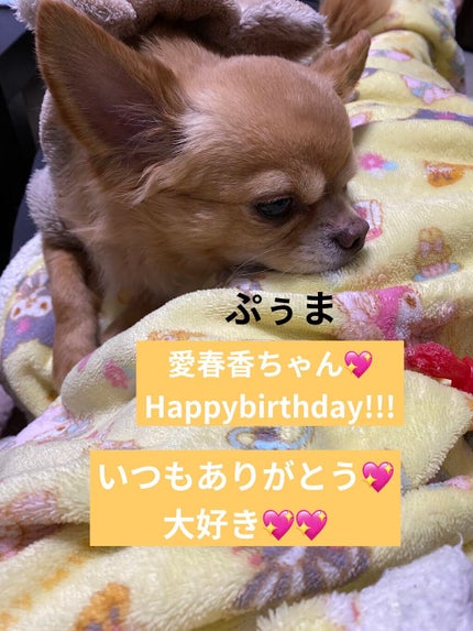 カラフルネイルズ/キャンメイク/マニキュアを使ったクチコミ(5枚目)