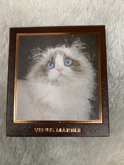 Venus Marble アイシャドウキャットシリーズ/Venus Marble/アイシャドウパレットを使ったクチコミ(1枚目)