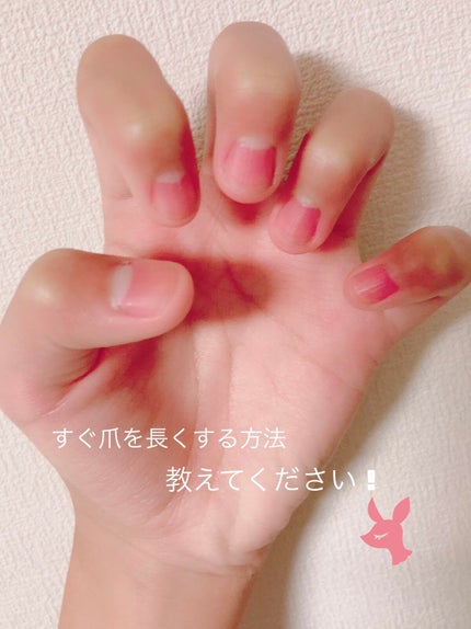 ã䜿ã£ãã¯ãã³ãïŒ1æç®ïŒ