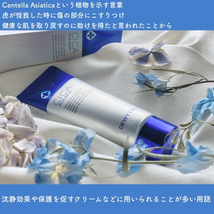 デュイセル シカプラスバーム/DEWYCEL/フェイスクリームを使ったクチコミ(2枚目)