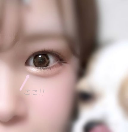 ウォンジョンヨ W デイリームードアップパレット /Wonjungyo/アイシャドウパレットを使ったクチコミ(1枚目)