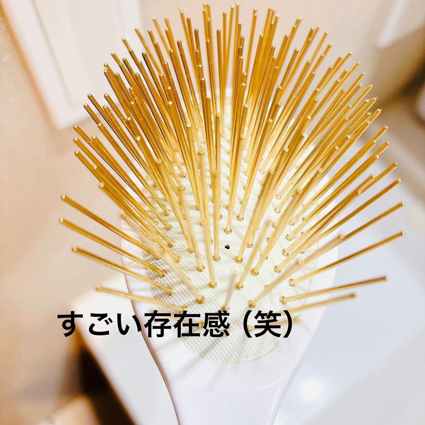 プレミアム FOXカッサ ヘアブラシ/SNOW FOX SKINCARE/ヘアブラシを使ったクチコミ(3枚目)