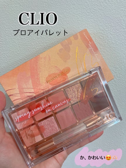 プロ アイ パレット/CLIO/アイシャドウパレットを使ったクチコミ(1枚目)