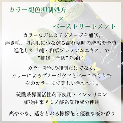 カラーケア&ベーストリートメント in シャンプー/コンディショナー シャンプー 480ml/いち髪/市販シャンプーを使ったクチコミ(2枚目)