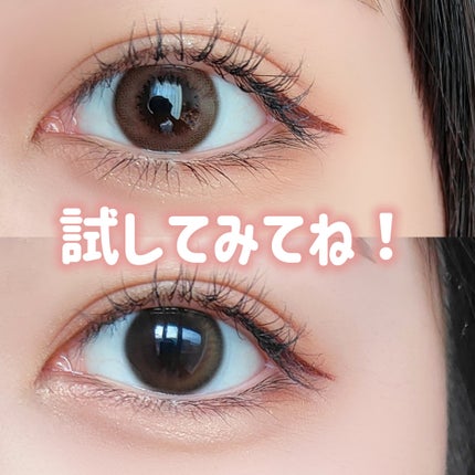 TOPARDS 1day/TOPARDS/ワンデー(1DAY)カラコンを使ったクチコミ(4枚目)