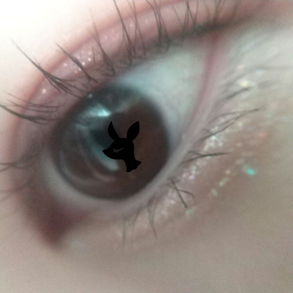 スマイルハート Chic Chicアイシャドウ/FLORTTE/アイシャドウパレットを使ったクチコミ（3枚目）