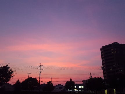 スカルプD ボーテ ピュアフリーアイラッシュセラム/アンファー(スカルプD)/まつげ美容液を使ったクチコミ(1枚目)