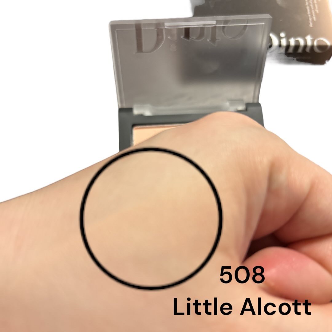 ブラーフィニシュブラッシャー/Dinto/パウダーチークを使ったクチコミ（2枚目）