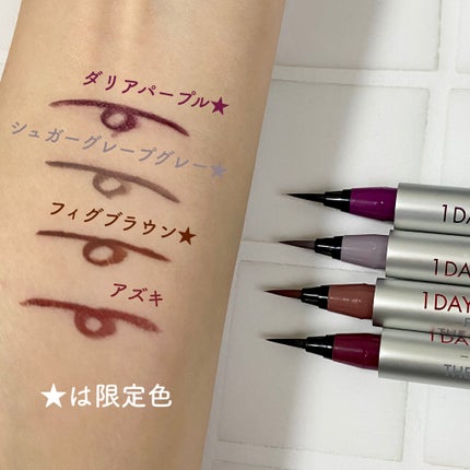 1DAY TATTOO プロキャスト ザ・アイライナー/K-パレット/リキッドアイライナーを使ったクチコミ(3枚目)