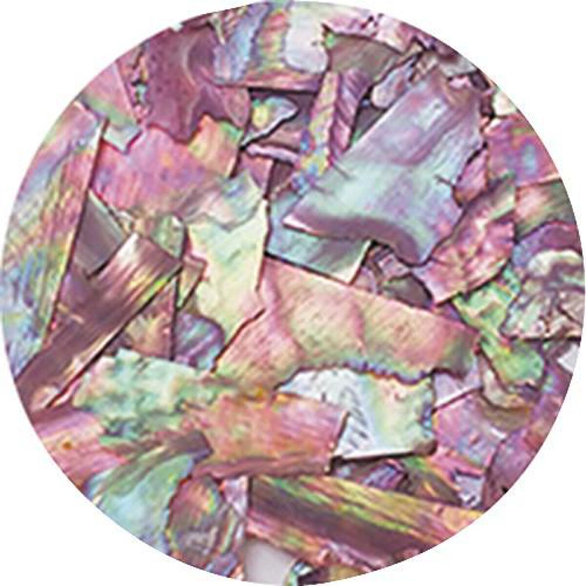 ナチュラルビーチシェル BZ06 パープルオパール