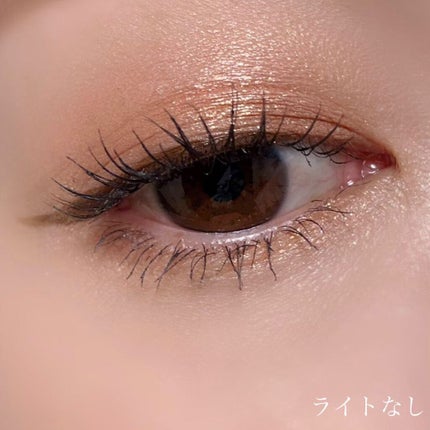 カスタム ケース II/shu uemura/その他化粧小物を使ったクチコミ(5枚目)