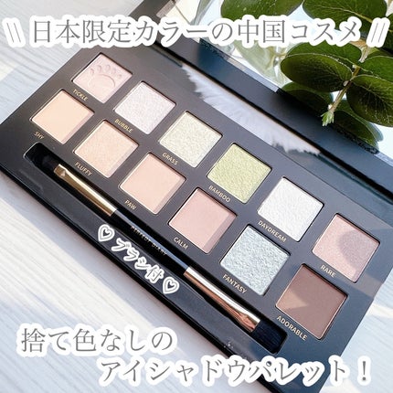 エクスプローラ12色 動物アイシャドウパレット/PERFECT DIARY/アイシャドウパレットを使ったクチコミ(2枚目)