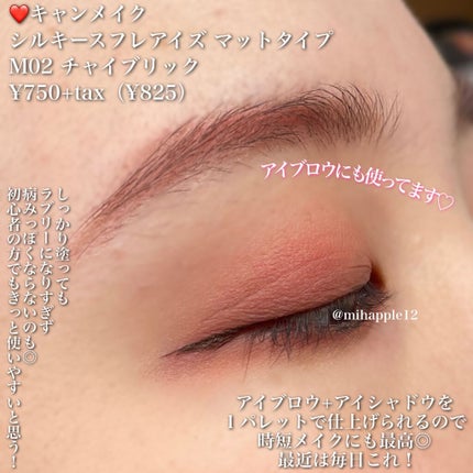 シルキースフレアイズ(マットタイプ)/キャンメイク/アイシャドウパレットを使ったクチコミ(5枚目)