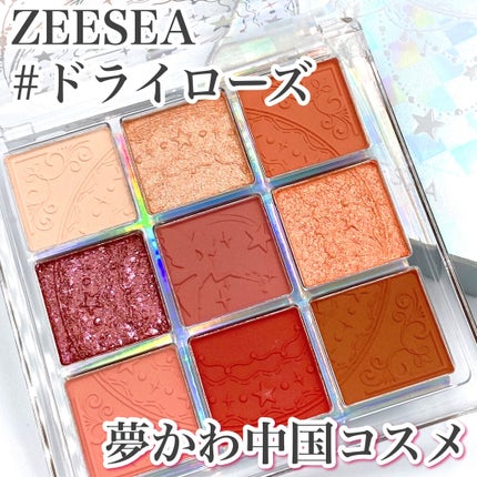 クォーツ 9色アイシャドウパレット(ドリームランドアイシャドウ)/ZEESEA/アイシャドウパレットを使ったクチコミ(1枚目)