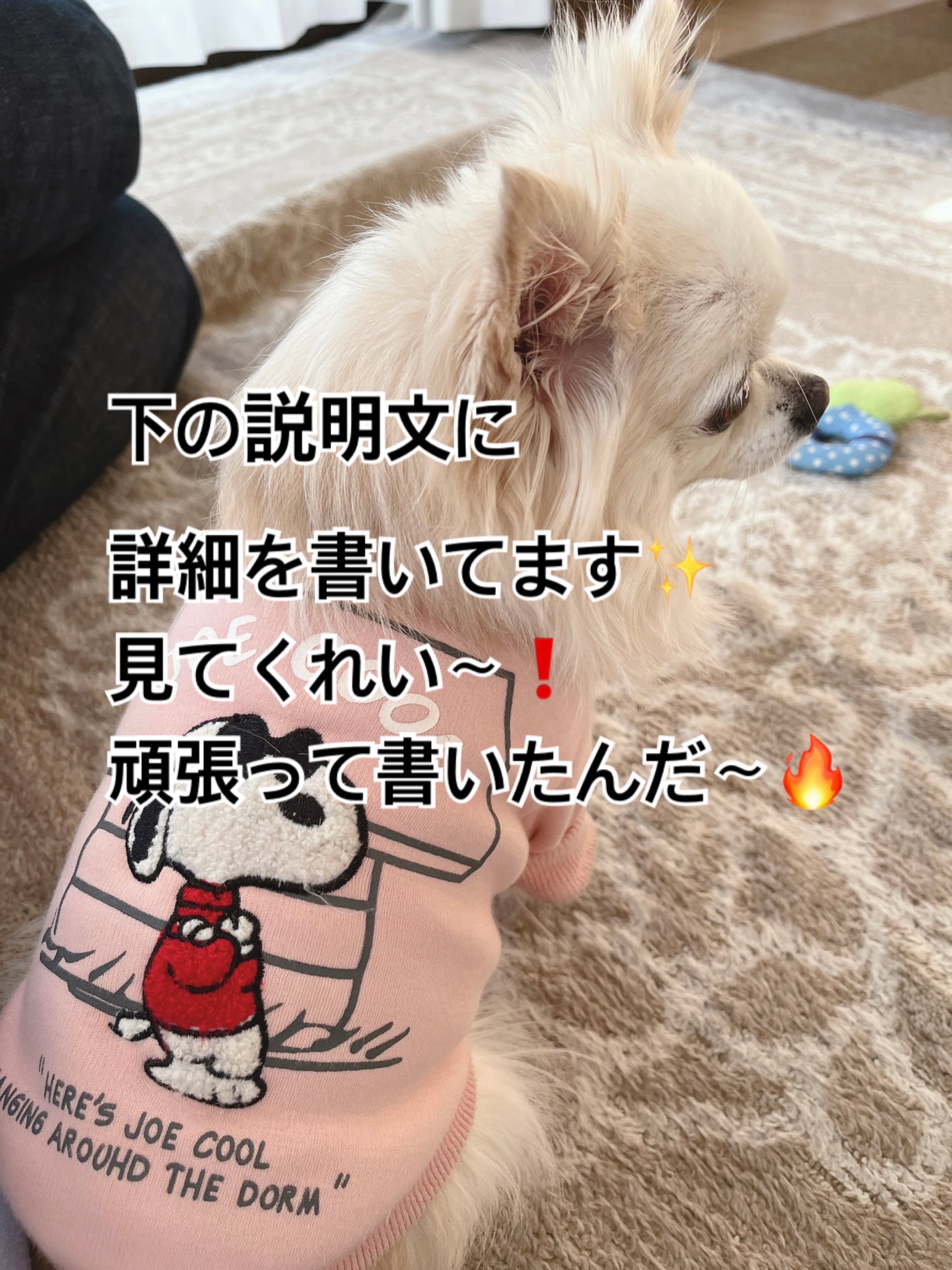 ハイドロシルク ホルダー (刃付き+替刃1コ)/ハイドロシルク/シェーバーを使ったクチコミ(5枚目)