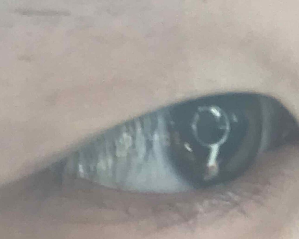 なの⚡︎ on LIPS 「二重のやり方💖、、、そう。私はめちゃめちゃ重い一重。【1.4枚..」(4枚目)