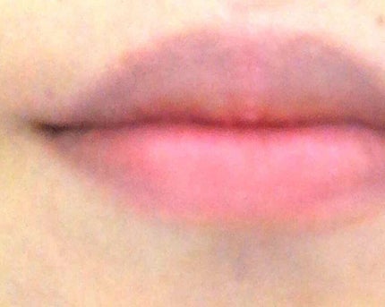 コンパクトマルチフルメイクパレット/CharMe/マルチパレットを使ったクチコミ(4枚目)