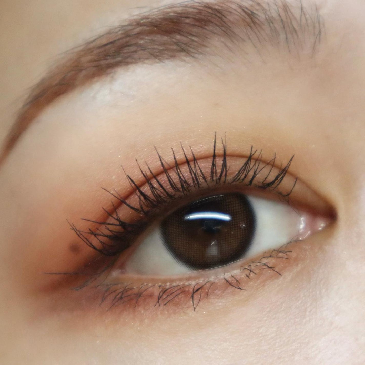 アイカラーレーション/LUNASOL/アイシャドウパレットを使ったクチコミ(7枚目)