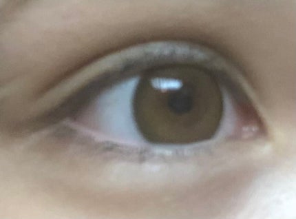 Flurry by colors 1day/Flurry by colors/ワンデー(1DAY)カラコンを使ったクチコミ(1枚目)