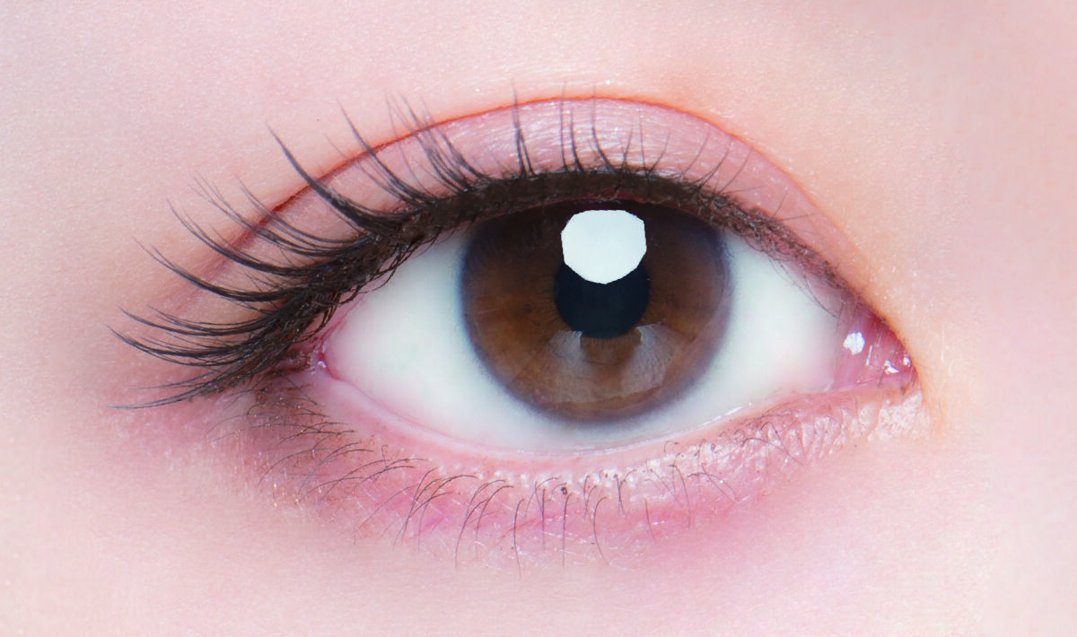 ドーリーウインク サロンアイラッシュ 15 束感おフェロなコアラ