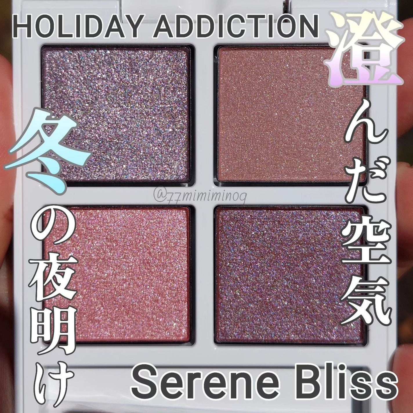 ホリデー アディクション サイレント ウィッシュⅠ/ADDICTION/メイクアップキットを使ったクチコミ(1枚目)