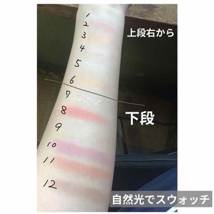 エクスプローラ12色 動物アイシャドウパレット/PERFECT DIARY/アイシャドウパレットを使ったクチコミ(5枚目)